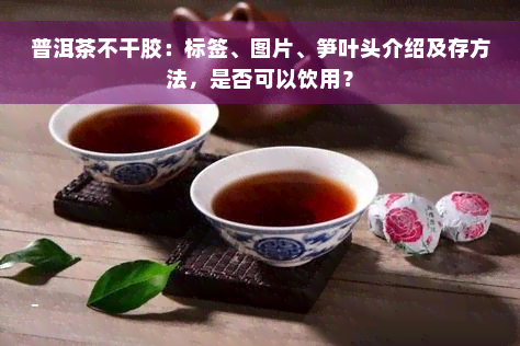 普洱茶不干胶：标签、图片、笋叶头介绍及存方法，是否可以饮用？