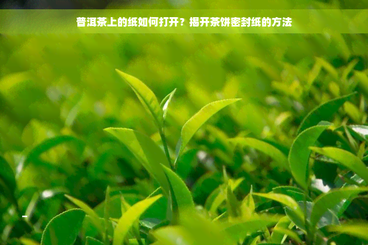 普洱茶上的纸如何打开？揭开茶饼密封纸的方法