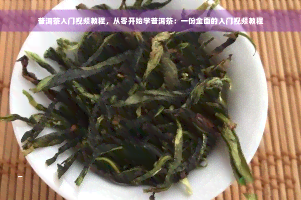 普洱茶入门视频教程，从零开始学普洱茶：一份全面的入门视频教程