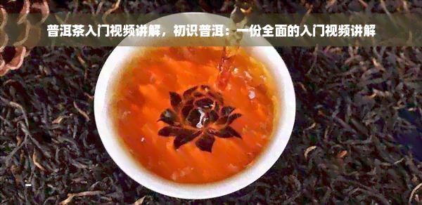 普洱茶入门视频讲解，初识普洱：一份全面的入门视频讲解