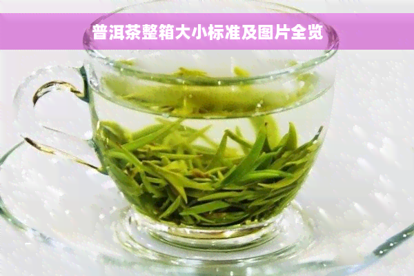 普洱茶整箱大小标准及图片全览