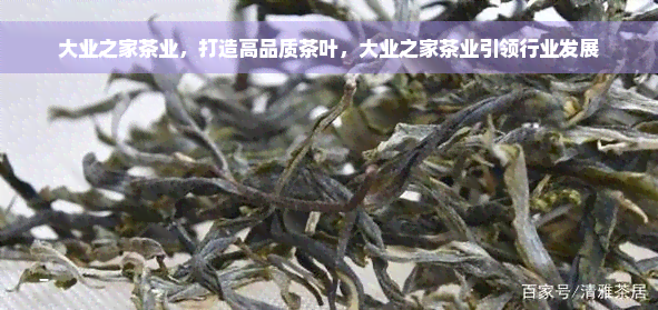 大业之家茶业，打造高品质茶叶，大业之家茶业引领行业发展