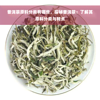 普洱茶原料分类有哪些，探秘普洱茶：了解其原料分类与特点