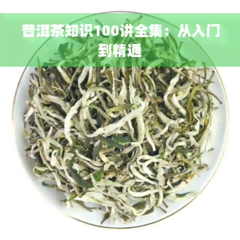 普洱茶知识100讲全集：从入门到精通