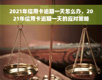 2021年信用卡逾期一天怎么办，2021年信用卡逾期一天的应对策略