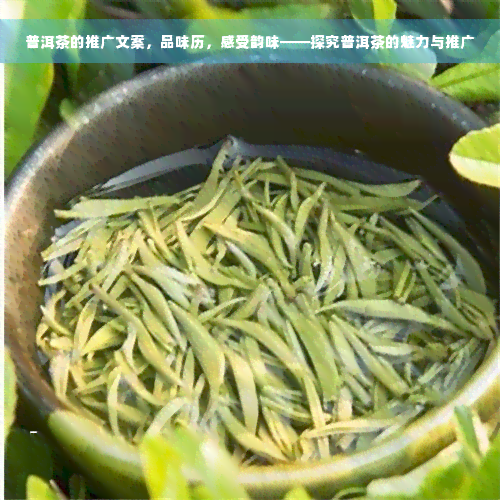 普洱茶的推广文案，品味历，感受韵味——探究普洱茶的魅力与推广