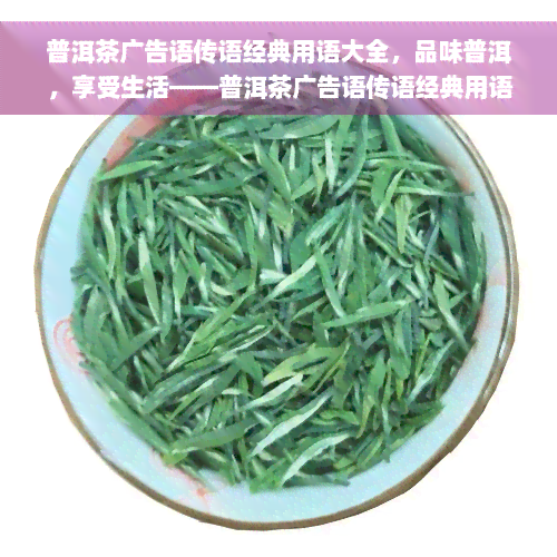 普洱茶广告语传语经典用语大全，品味普洱，享受生活——普洱茶广告语传语经典用语大全