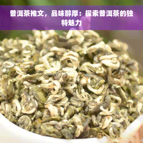 普洱茶推文，品味醇厚：探索普洱茶的独特魅力