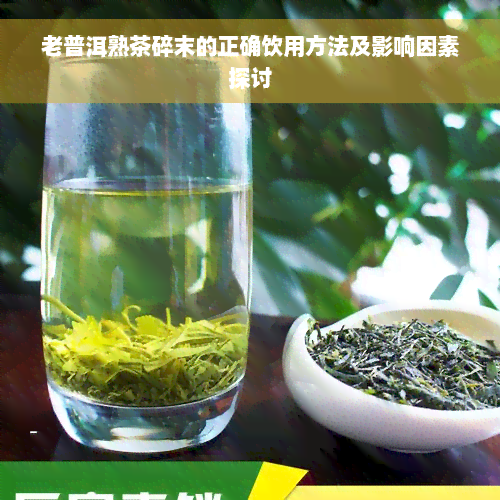 老普洱熟茶碎末的正确饮用方法及影响因素探讨