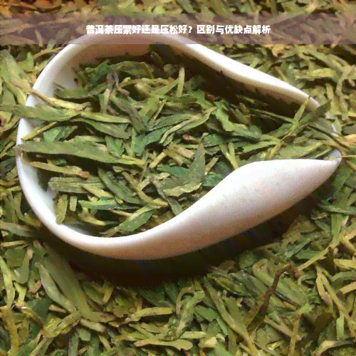 普洱茶压紧好还是压松好？区别与优缺点解析