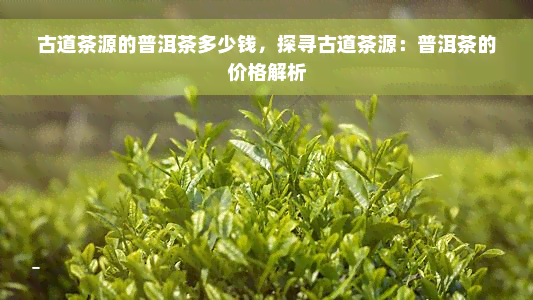 古道茶源的普洱茶多少钱，探寻古道茶源：普洱茶的价格解析