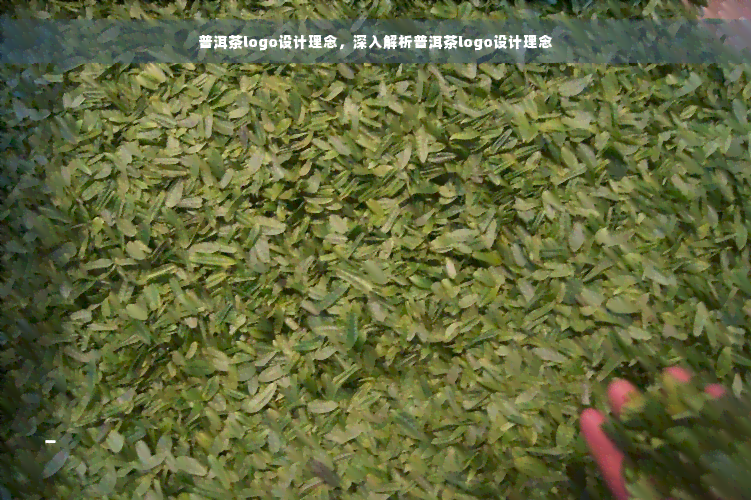 普洱茶logo设计理念，深入解析普洱茶logo设计理念