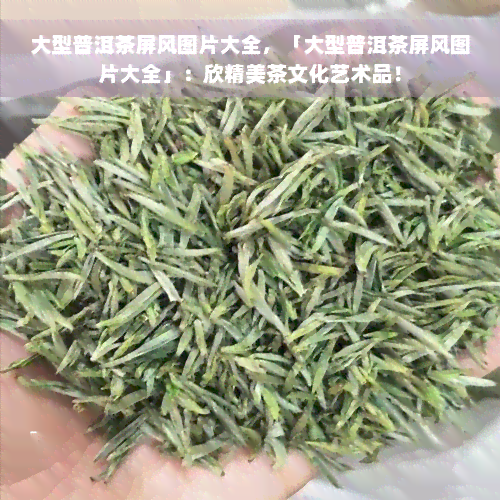 大型普洱茶屏风图片大全，「大型普洱茶屏风图片大全」：欣精美茶文化艺术品！