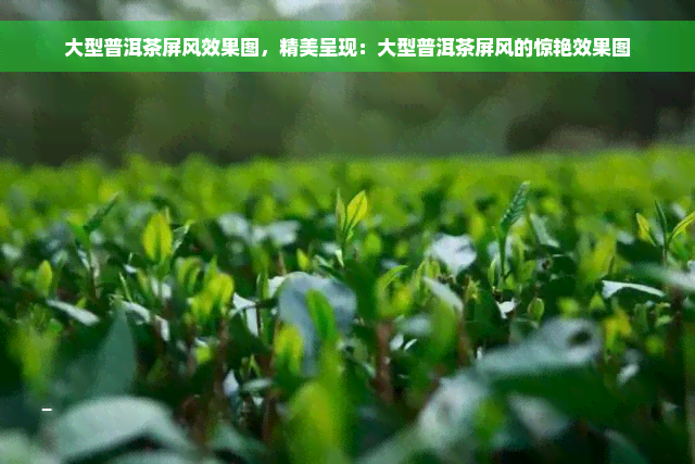 大型普洱茶屏风效果图，精美呈现：大型普洱茶屏风的惊艳效果图