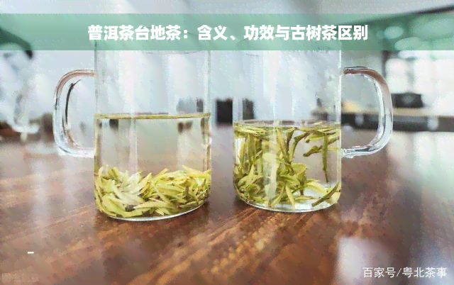 普洱茶台地茶：含义、功效与古树茶区别