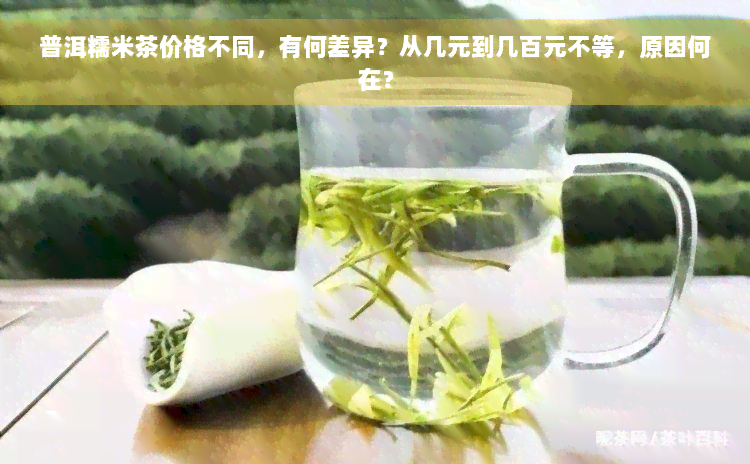 普洱糯米茶价格不同，有何差异？从几元到几百元不等，原因何在？