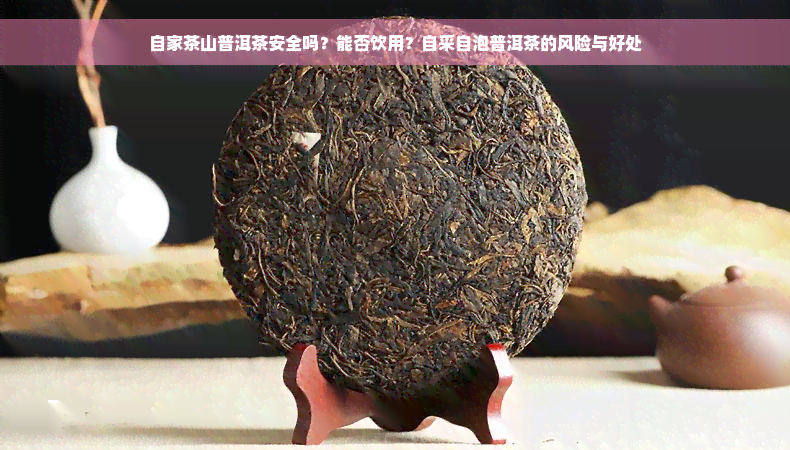 自家茶山普洱茶安全吗？能否饮用？自采自泡普洱茶的风险与好处