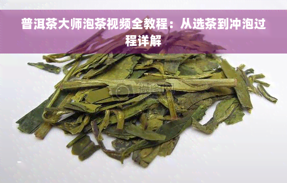 普洱茶大师泡茶视频全教程：从选茶到冲泡过程详解