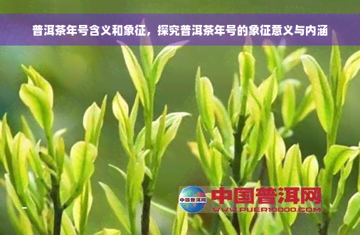 普洱茶年号含义和象征，探究普洱茶年号的象征意义与内涵