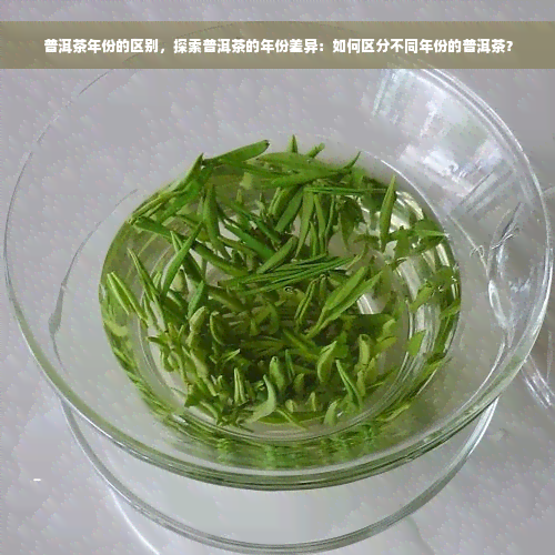 普洱茶年份的区别，探索普洱茶的年份差异：如何区分不同年份的普洱茶？