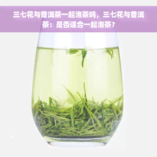 三七花与普洱茶一起泡茶吗，三七花与普洱茶：是否适合一起泡茶？