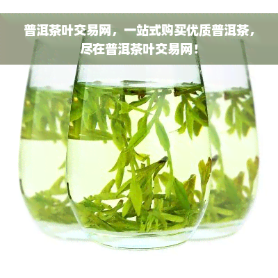 普洱茶叶交易网，一站式购买优质普洱茶，尽在普洱茶叶交易网！