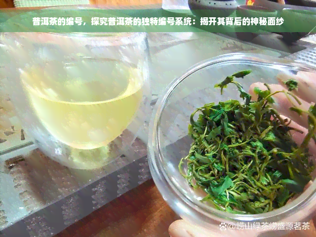 普洱茶的编号，探究普洱茶的独特编号系统：揭开其背后的神秘面纱