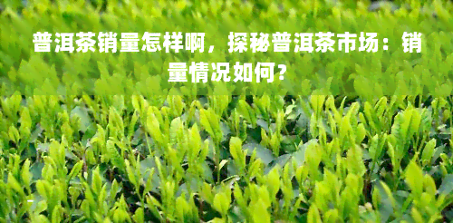 普洱茶销量怎样啊，探秘普洱茶市场：销量情况如何？