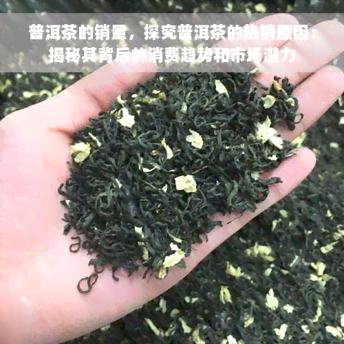 普洱茶的销量，探究普洱茶的热销原因：揭秘其背后的消费趋势和市场潜力