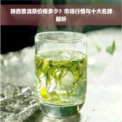 陕西普洱茶价格多少？市场行情与十大名牌解析