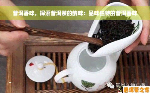 普洱香味，探索普洱茶的韵味：品味独特的普洱香味