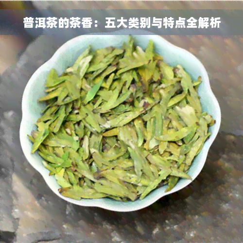 普洱茶的茶香：五大类别与特点全解析