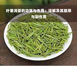 叶普洱茶的功效与作用：详解及其禁忌与副作用