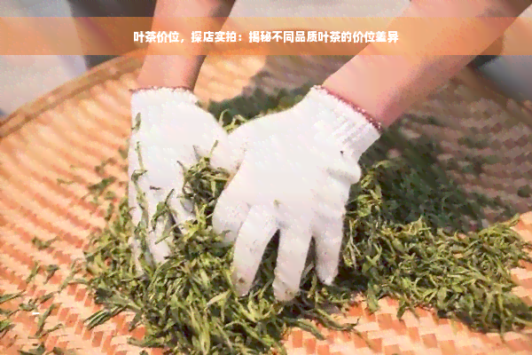 叶茶价位，探店实拍：揭秘不同品质叶茶的价位差异