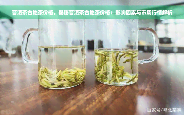 普洱茶台地茶价格，揭秘普洱茶台地茶价格：影响因素与市场行情解析