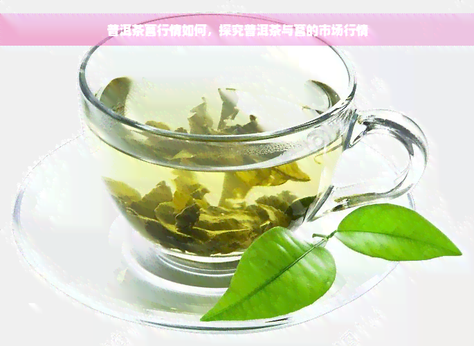 普洱茶菖行情如何，探究普洱茶与菖的市场行情