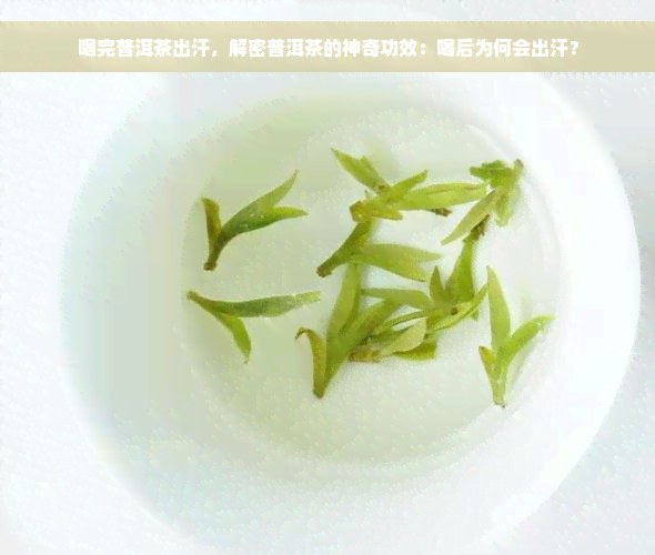 喝完普洱茶出汗，解密普洱茶的神奇功效：喝后为何会出汗？