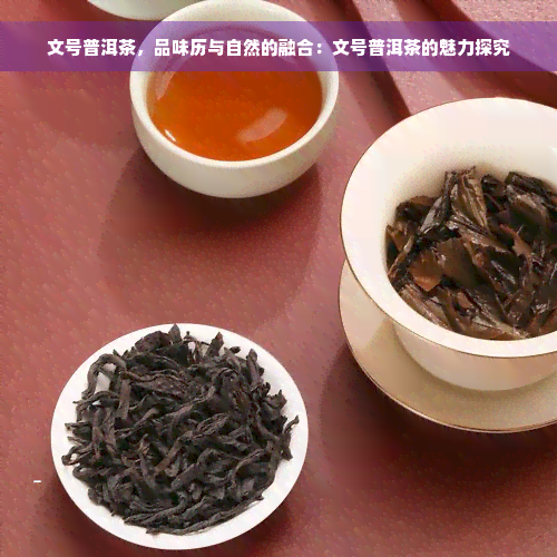 文号普洱茶，品味历与自然的融合：文号普洱茶的魅力探究