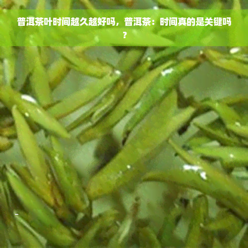 普洱茶叶时间越久越好吗，普洱茶：时间真的是关键吗？