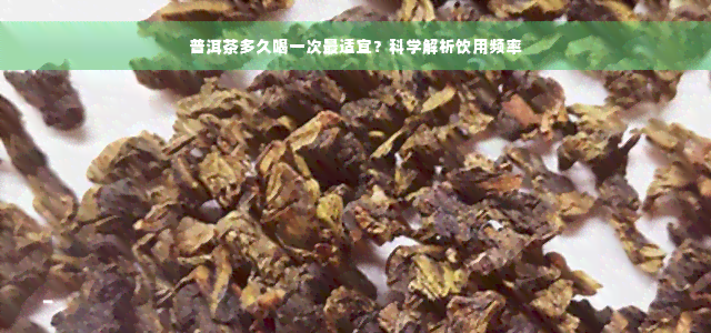 普洱茶多久喝一次最适宜？科学解析饮用频率