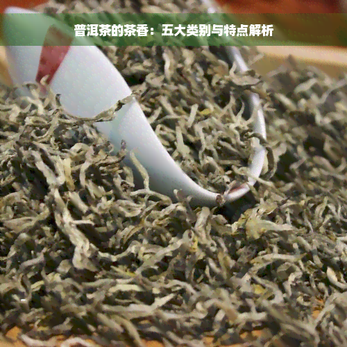 普洱茶的茶香：五大类别与特点解析