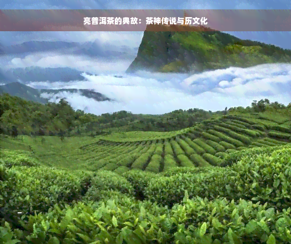 亮普洱茶的典故：茶神传说与历文化