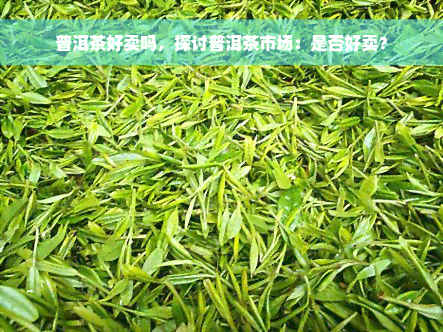 普洱茶好卖吗，探讨普洱茶市场：是否好卖？