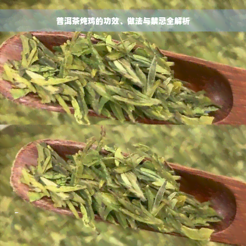 普洱茶炖鸡的功效、做法与禁忌全解析