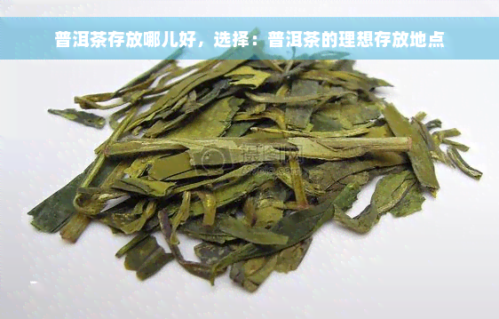 普洱茶存放哪儿好，选择：普洱茶的理想存放地点