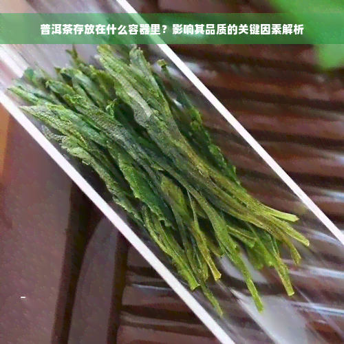 普洱茶存放在什么容器里？影响其品质的关键因素解析