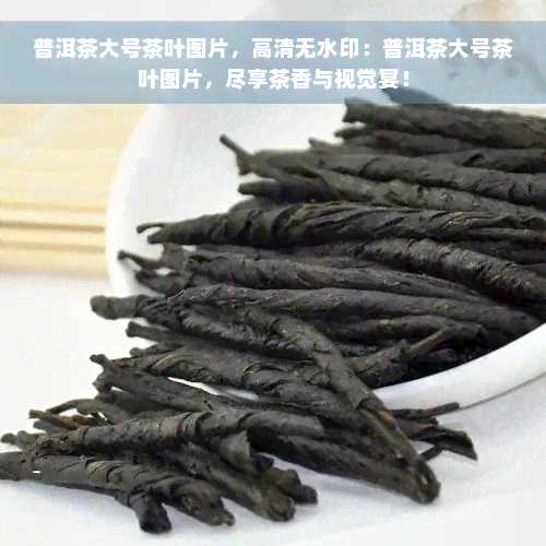 普洱茶大号茶叶图片，高清无水印：普洱茶大号茶叶图片，尽享茶香与视觉宴！