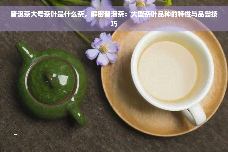 普洱茶大号茶叶是什么茶，解密普洱茶：大型茶叶品种的特性与品尝技巧