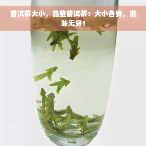 普洱茶大小，品鉴普洱茶：大小各异，滋味无穷！