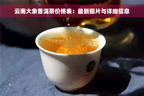 云南大象普洱茶价格表：最新图片与详细信息